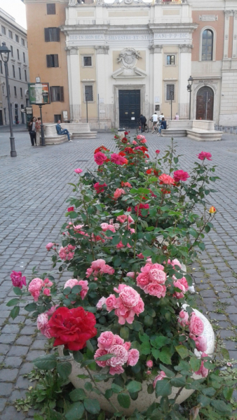 La mia vita. Римские записки, дневник онлайн