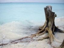 Плая Серена