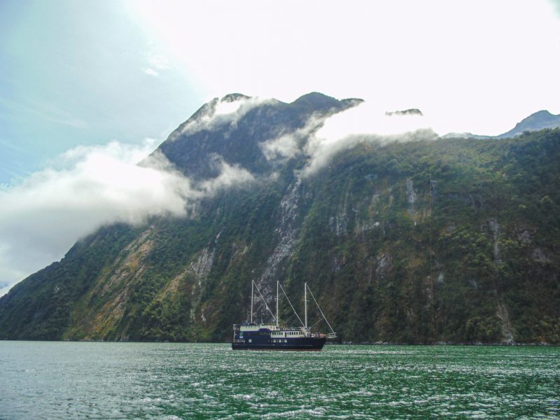 Январь 2020: 2 острова, 20 дней, Новая Зеландия для неторопливых