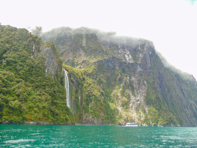 Январь 2020: 2 острова, 20 дней, Новая Зеландия для неторопливых
