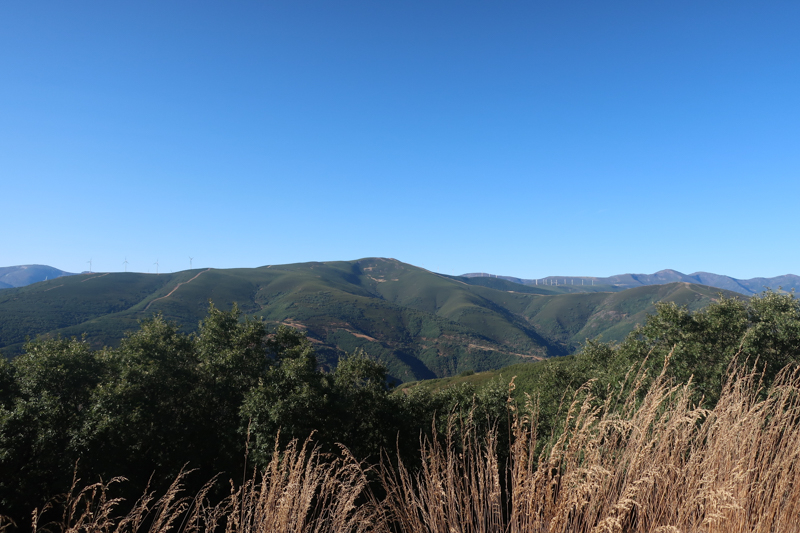 Camino de Santiago 2019. Сен-Жан-Пье-де-Порт  -   Сантьяго (+ Финистерра)