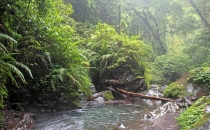 Детские каникулы в сезон дождей