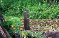 Детские каникулы в сезон дождей