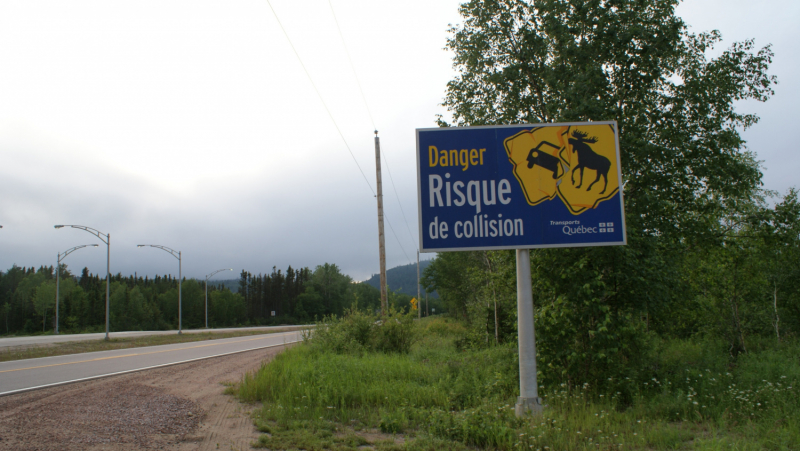 Север Квебека: Путешествие к озеру Маникуаган (Lac Manicouagan) и в Гаспези (Gaspesie)