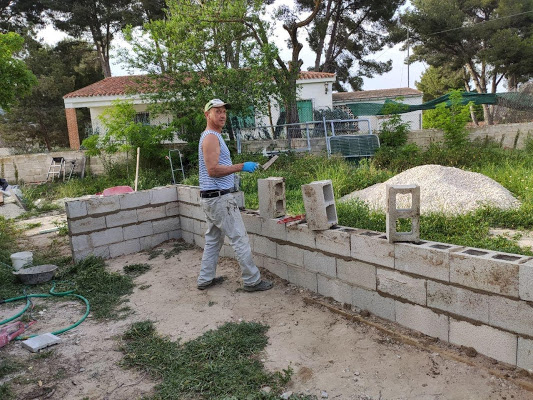 Кошки в нашей жизни. Кошки и все, что с ними связано.