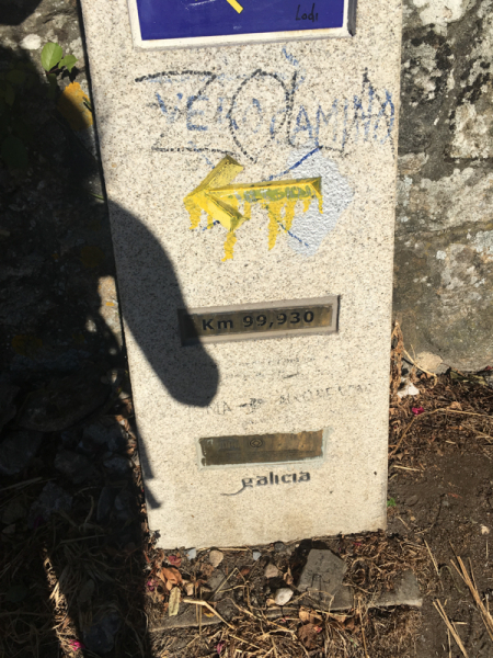 Camino de Santiago 2019. Сен-Жан-Пье-де-Порт  -   Сантьяго (+ Финистерра)