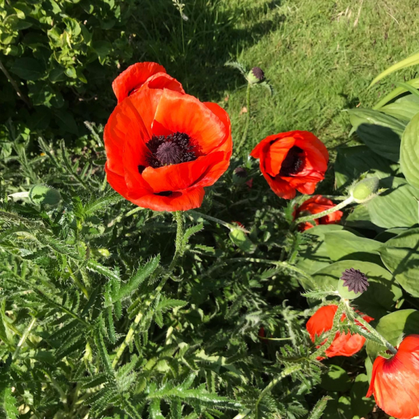 Большое испанское (и немножко португальское) лето 2018