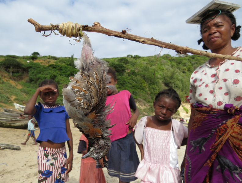 Мадагаскар-2020: Из крайности в крайность