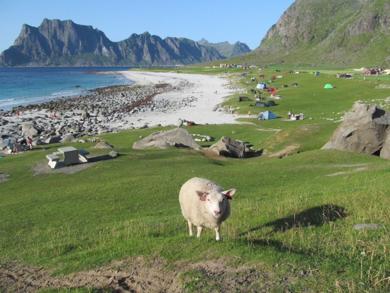 Вело Лофотены июль 2019