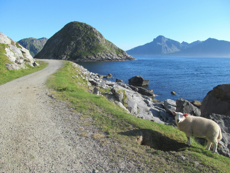 Вело Лофотены июль 2019