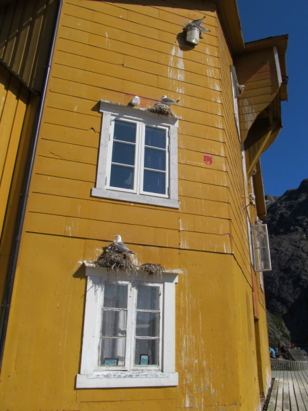 Вело Лофотены июль 2019