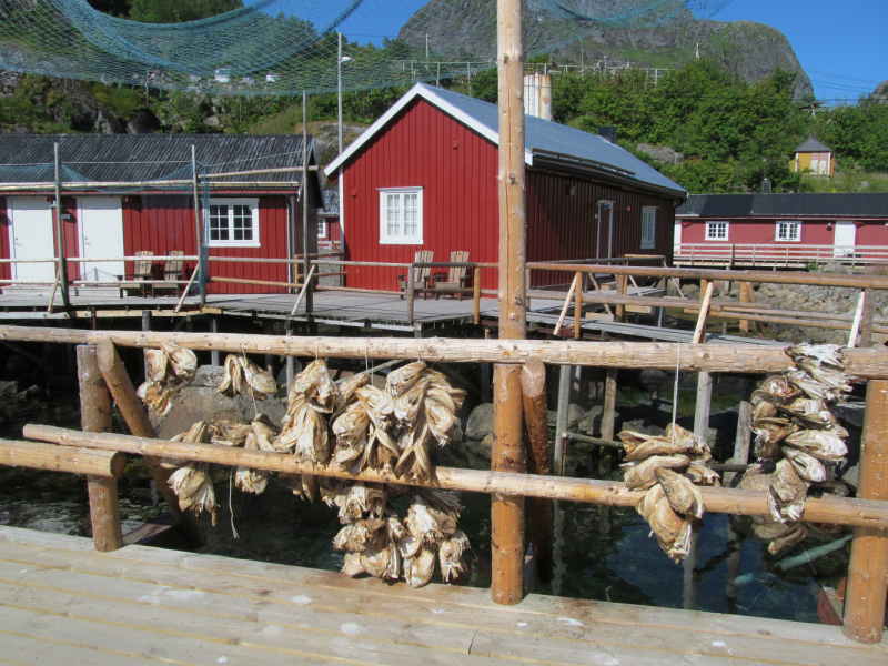 Вело Лофотены июль 2019