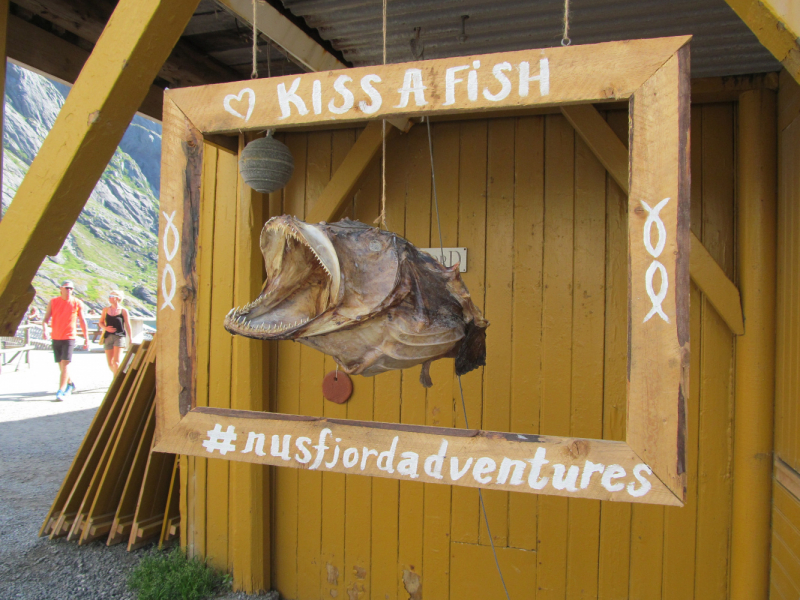 Вело Лофотены июль 2019