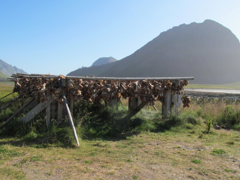 Вело Лофотены июль 2019