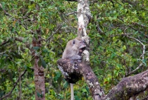 Детские каникулы в сезон дождей