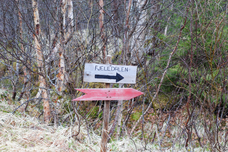 Окрестности Brønnøysund это не только Torghatten