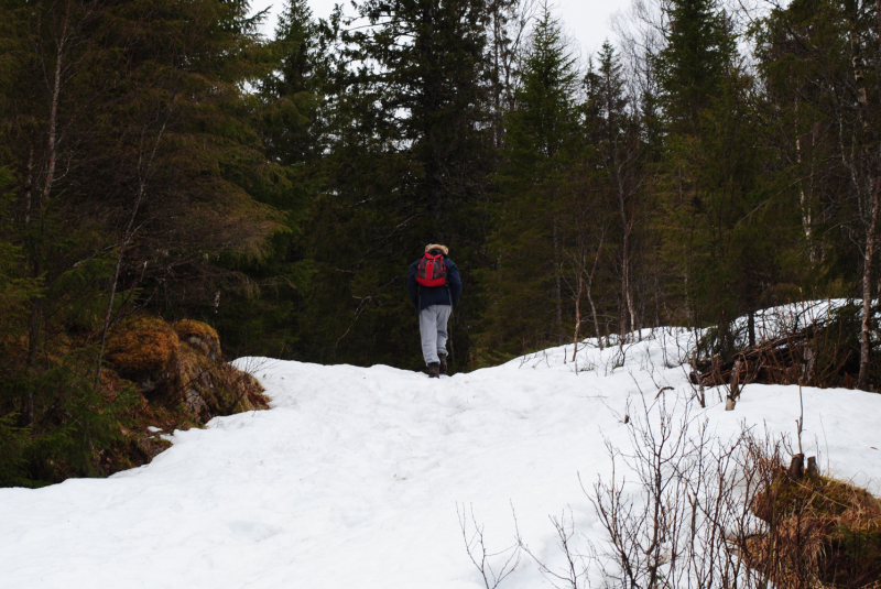 Окрестности Brønnøysund это не только Torghatten