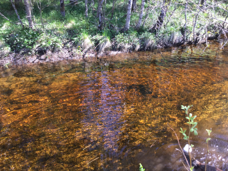 Окрестности Brønnøysund это не только Torghatten