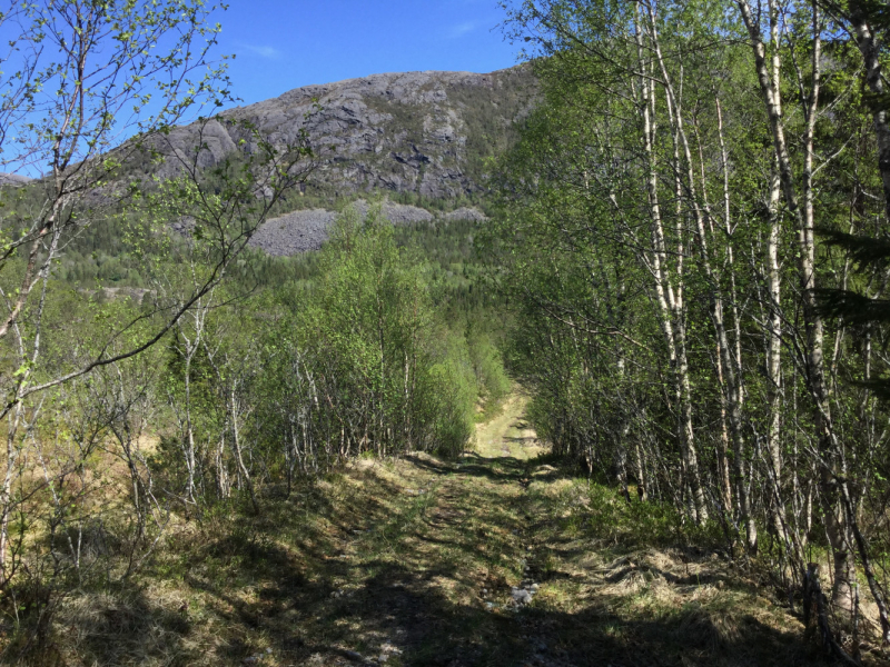 Окрестности Brønnøysund это не только Torghatten