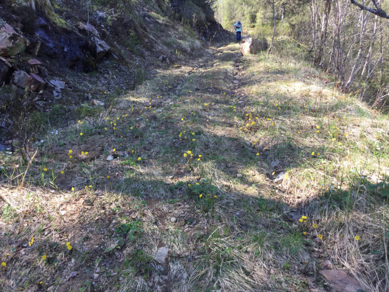 Окрестности Brønnøysund это не только Torghatten