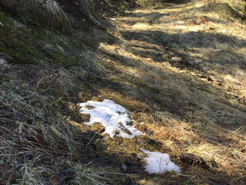 Окрестности Brønnøysund это не только Torghatten