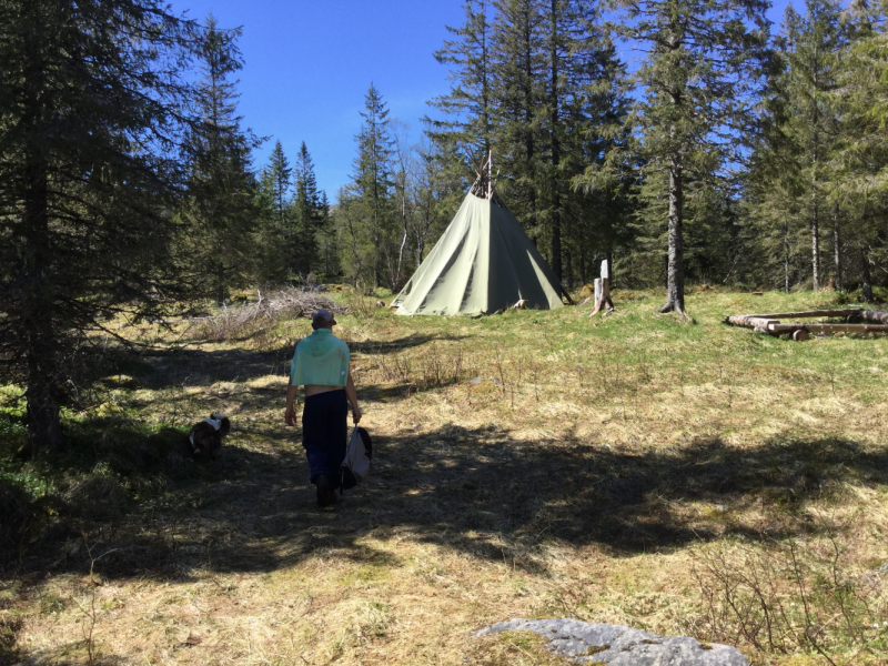 Окрестности Brønnøysund это не только Torghatten
