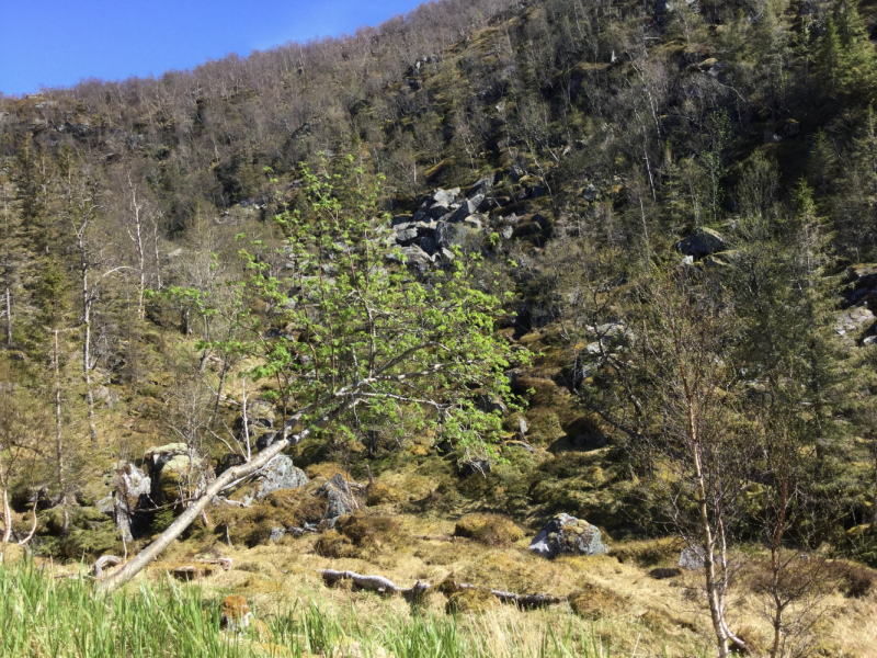 Окрестности Brønnøysund это не только Torghatten