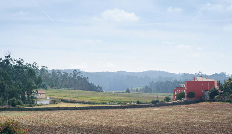 Camino Portugues Central