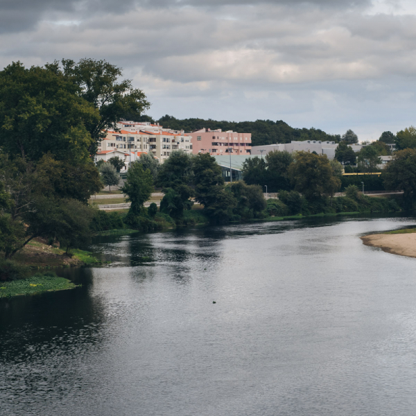 Camino Portugues Central