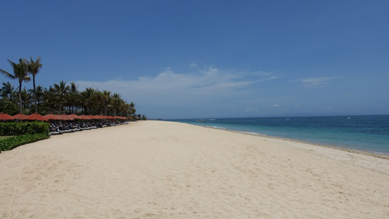 Не тюлений отдых на Бали и Нуса Пенида в ноябре 2019