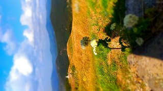 Хороша страна Болгария