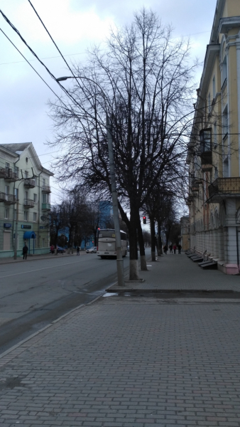 Владимир, март 2020 года Владимир, март 2020 года
