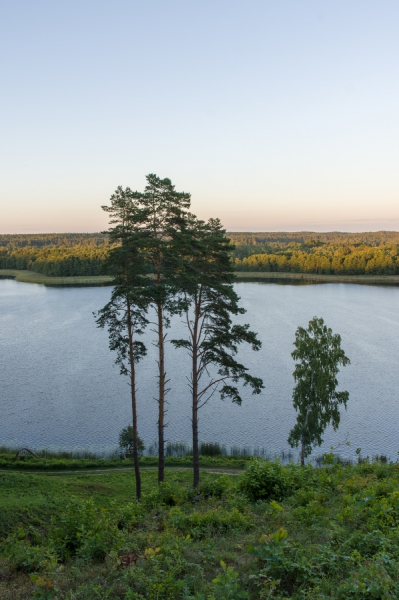 Провинциальная Балтия, 2 недели