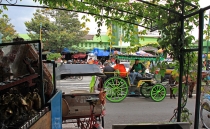 Детские каникулы в сезон дождей