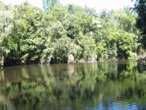 Другая планета - Австралия (конец мая-начало июня 2010).