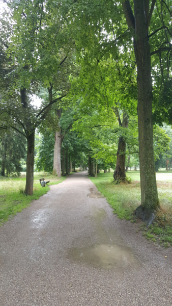 Прогулка по Пфюльпарку/Pfühlpark в Хайльброне/Heilbronn или небольшое Царство Роз