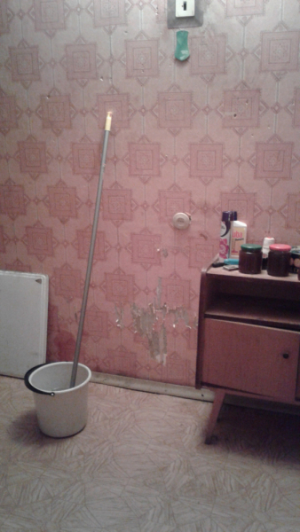 La mia vita. Римские записки, дневник онлайн