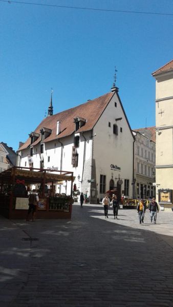 La mia vita. Римские записки, дневник онлайн