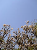 хампи индия 2011 hampi india