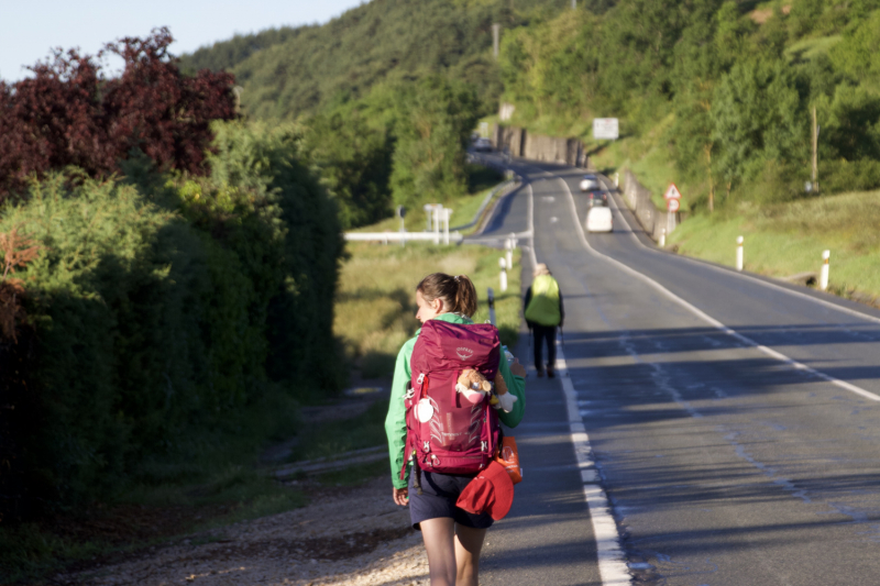 Camino de Santiago (Camino Frances), лето 2019