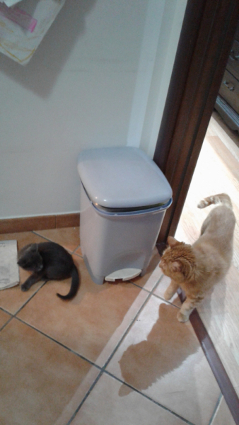 La mia vita. Римские записки, дневник онлайн