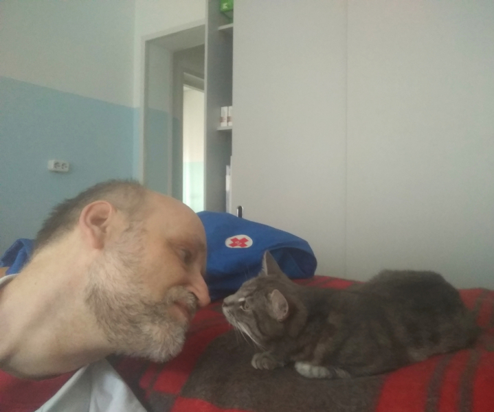 Кошки в нашей жизни. Кошки и все, что с ними связано.