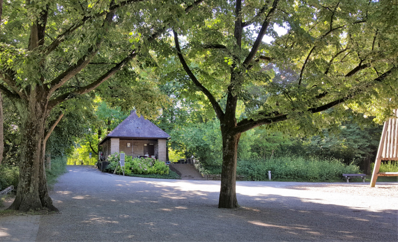 Прогулка по Пфюльпарку/Pfühlpark в Хайльброне/Heilbronn или небольшое Царство Роз