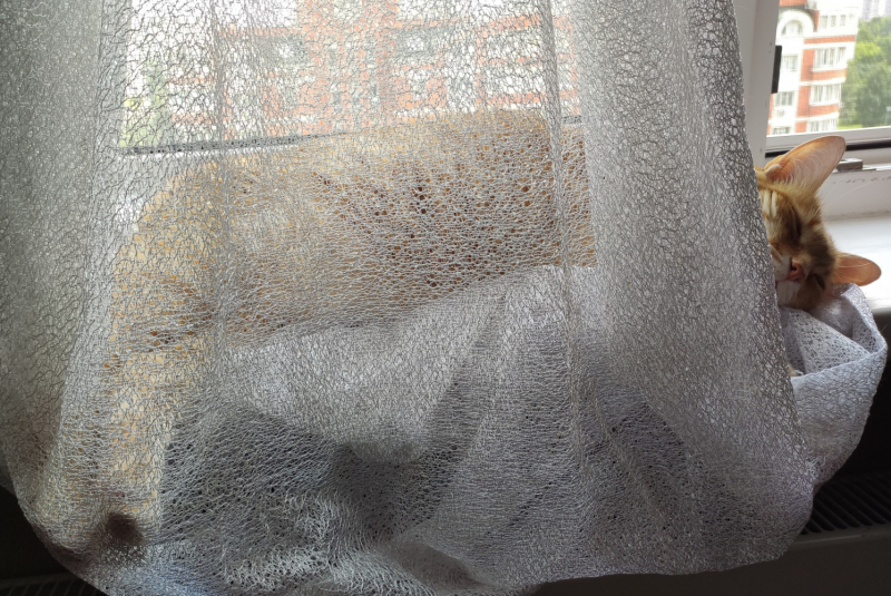 Кошки в нашей жизни. Кошки и все, что с ними связано.