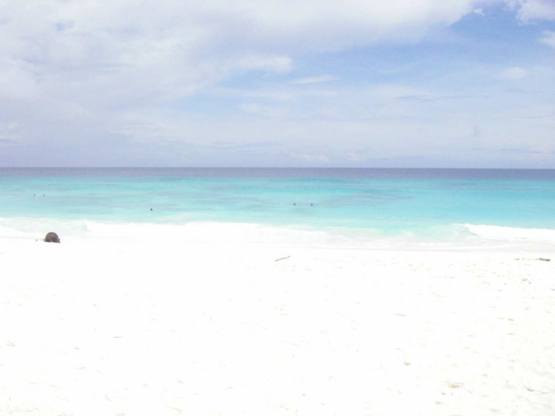 Сейшелы Сейшелы 24.02-10.03. 2007 г.