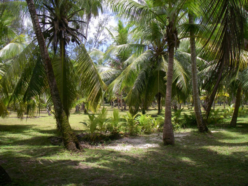 Сейшелы Сейшелы 24.02-10.03. 2007 г.