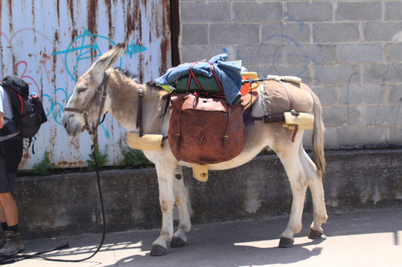 Camino de Santiago (Camino Frances), лето 2019