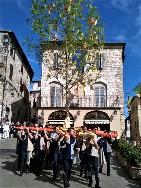 Да будет праздник! Ассизи (Assisi) в начале мая, Умбрия.