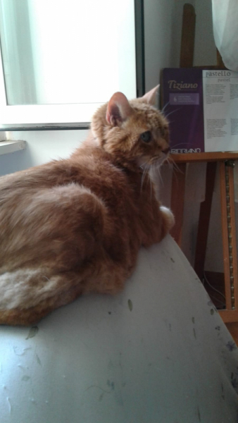 La mia vita. Римские записки, дневник онлайн