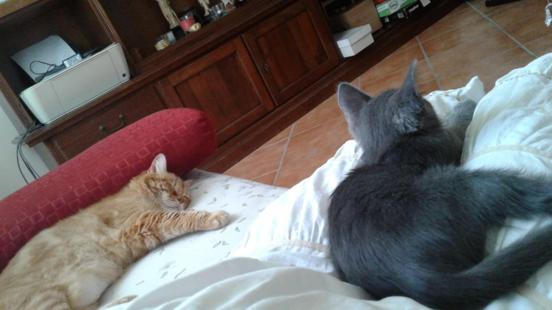 La mia vita. Римские записки, дневник онлайн